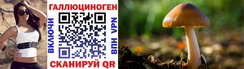 как найти закладки  Мензелинск  Псилоцибиновые грибы ЛСД 